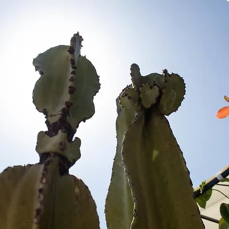 Ferienhaus Casa De 5 Y 2 Terrazas Maspalomas (Gran Canaria)